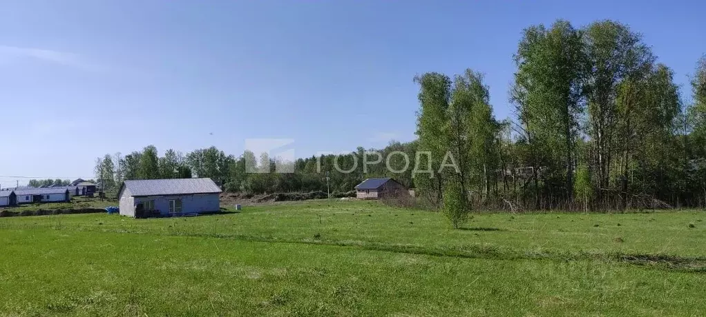 Участок в Алтайский край, Первомайский район, с. Фирсово Палитра жилой ... - Фото 0