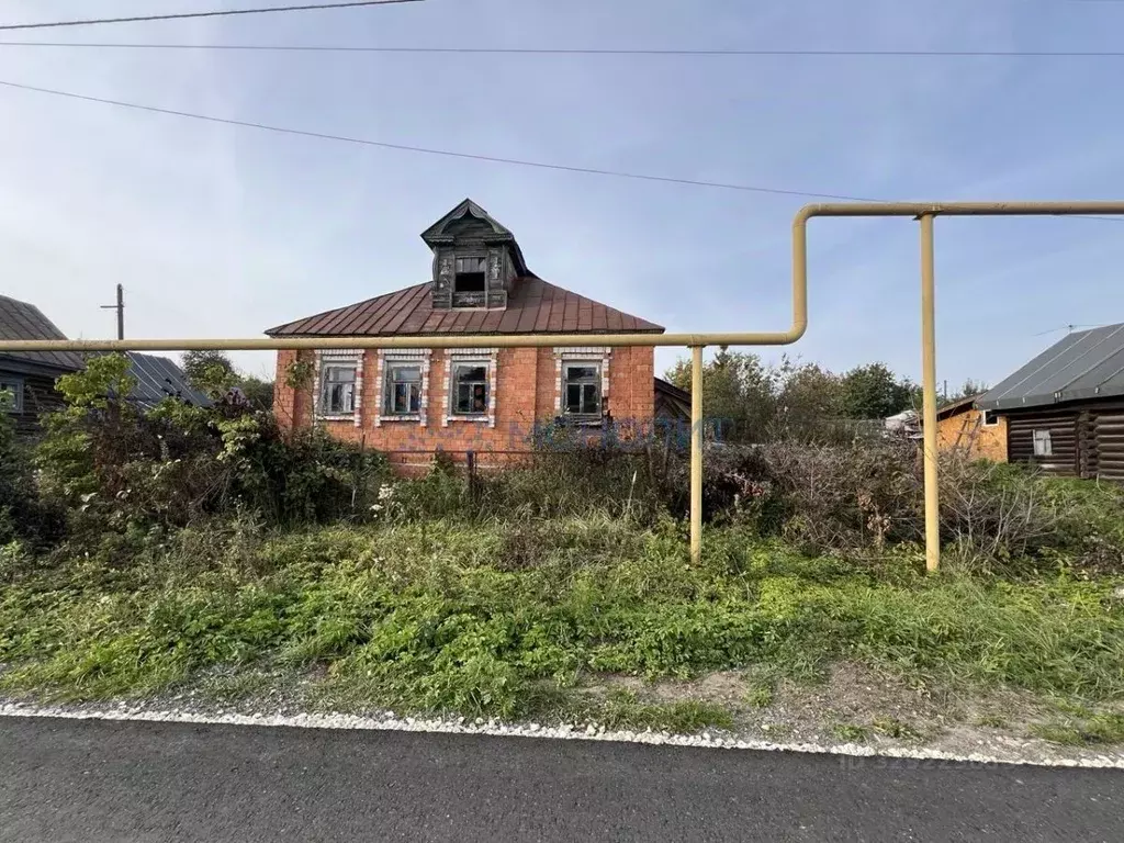 Участок в Нижегородская область, Богородский муниципальный округ, с. ... - Фото 2