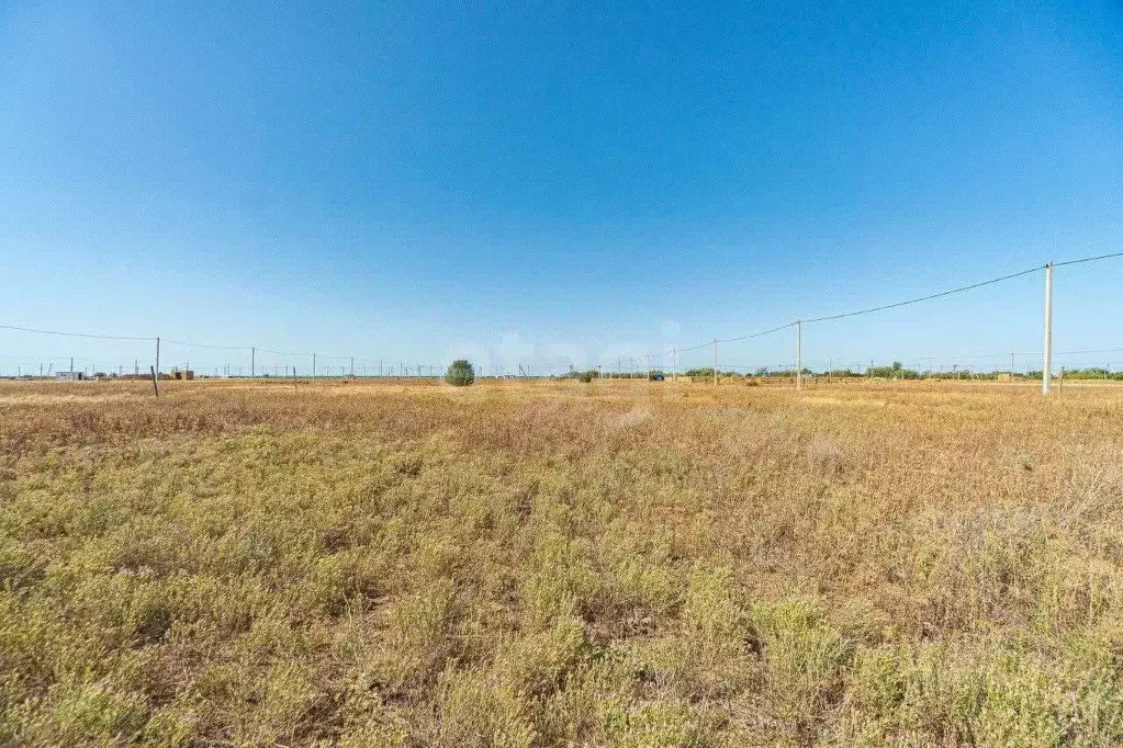 Участок в Крым, Раздольненский район, Славновское с/пос, Отдых СНТ  ... - Фото 1