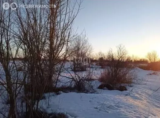 Участок в Брянский район, Снежское сельское поселение, село Толмачево ... - Фото 0