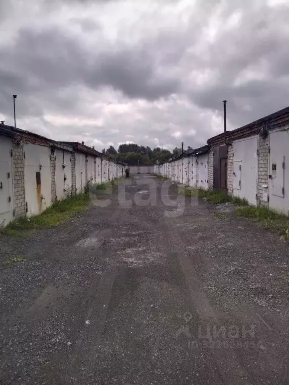 Гараж в Тюменская область, Тюмень Дамбовская ул., 53Ас17/21 (18 м) - Фото 1