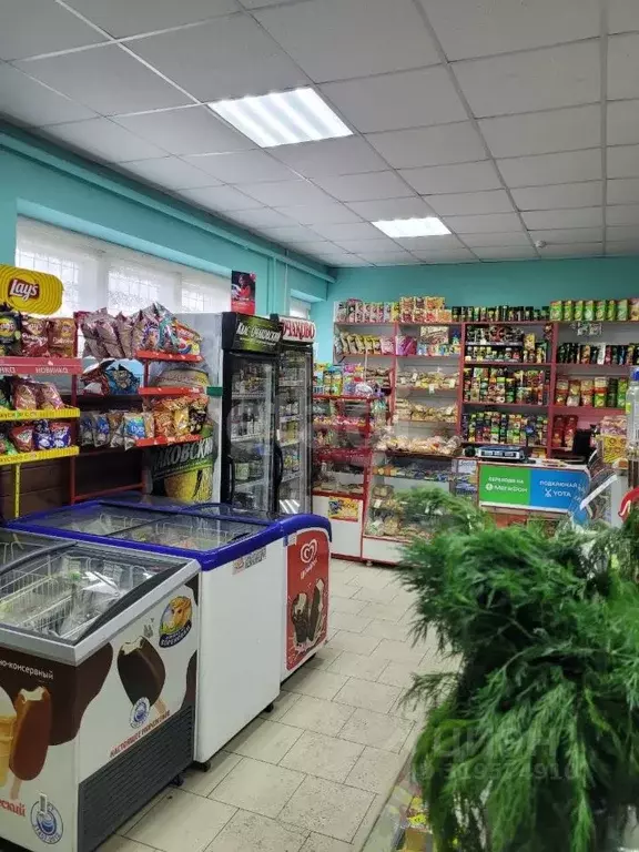 Торговая площадь в Владимирская область, Муром Стахановская ул., 27А ... - Фото 0