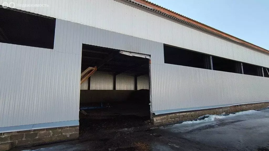 Производственное помещение (1150 м) - Фото 1