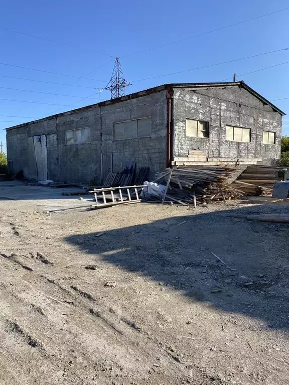 Производственное помещение в Свердловская область, Алапаевск ул. ... - Фото 0