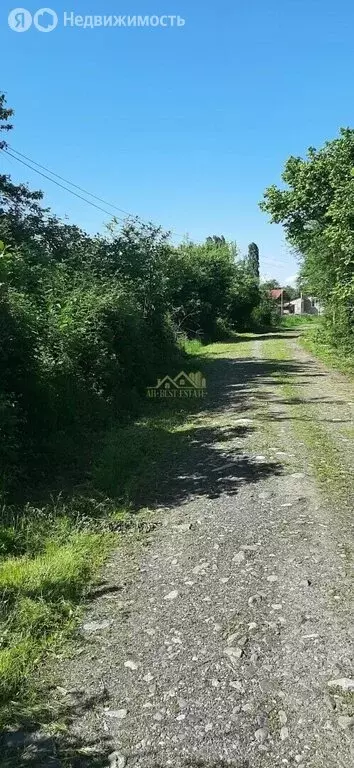 Участок в село Суадаг, Лесная улица (16 м) - Фото 2