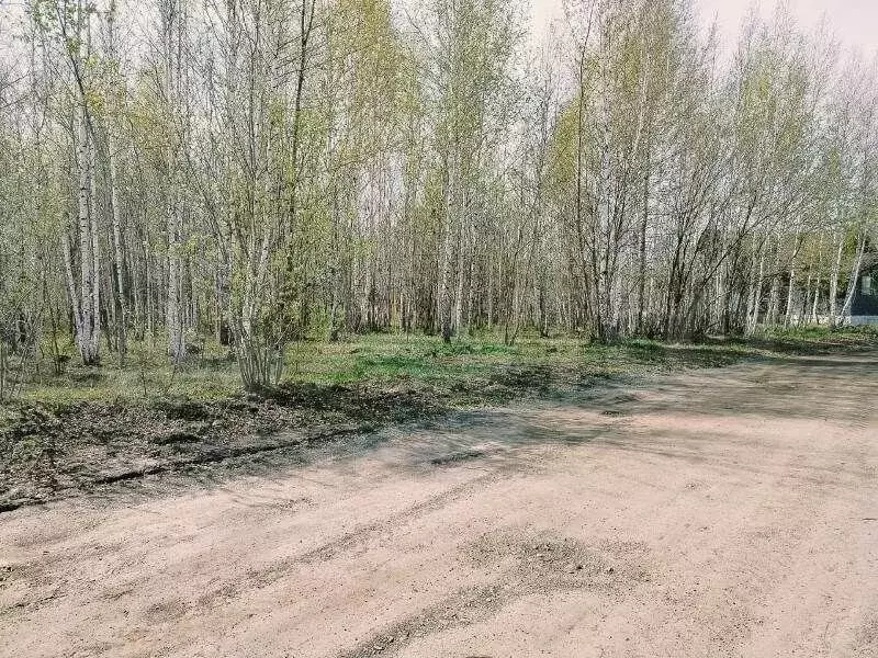 Участок 12 сот. (ИЖС) - Фото 1
