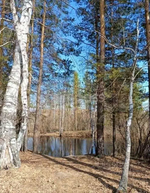 Дом в Тюменская область, Нижнетавдинский район, Сундукуль СНТ  (50 м) - Фото 0