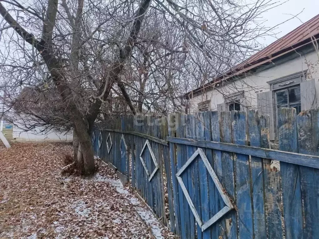 Дом в Белгородская область, Вейделевский район, с. Закутское ул. ... - Фото 1