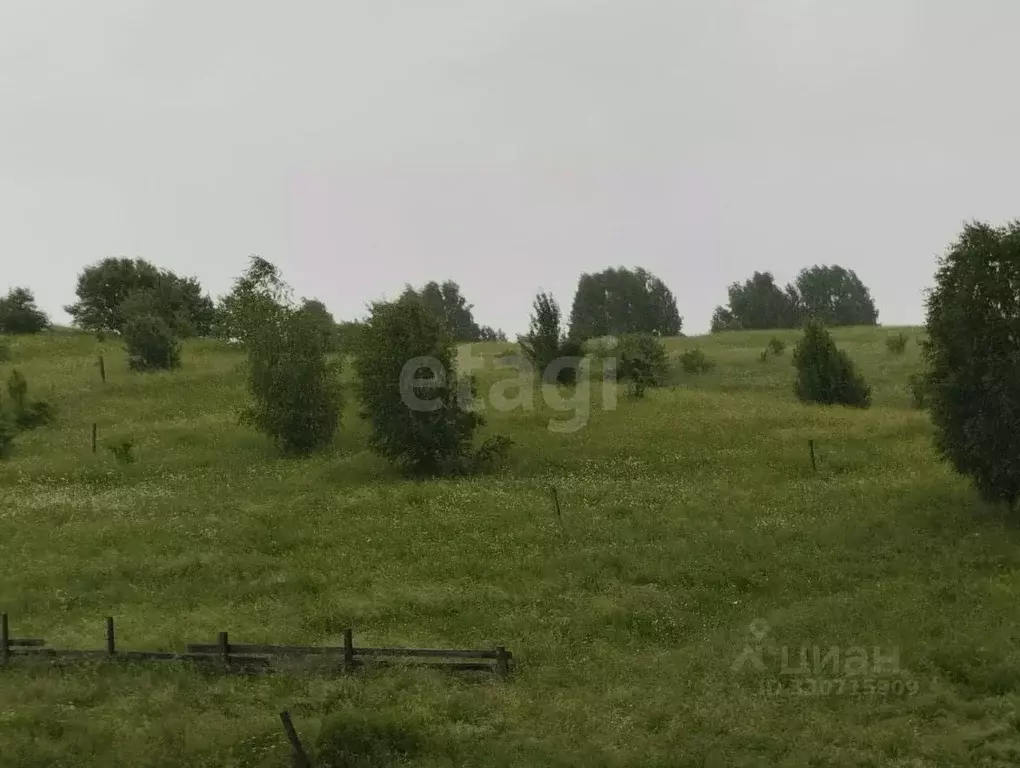 Участок в Алтай, Майминский район, с. Кызыл-Озек ул. С.С. Суразакова, ... - Фото 1