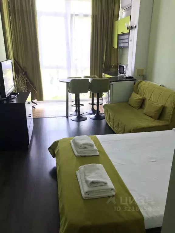 1-к кв. Краснодарский край, Сочи Курортный просп., 75к1 (20.0 м) - Фото 1