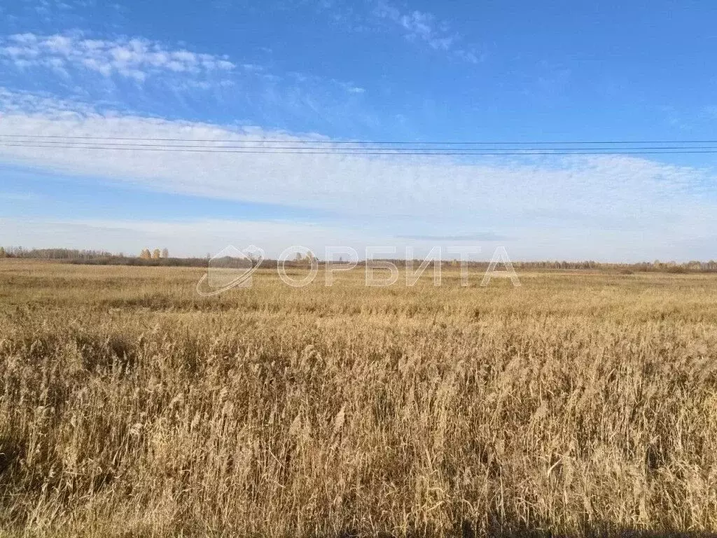Участок в Тюменская область, Тюменский муниципальный округ, ... - Фото 2