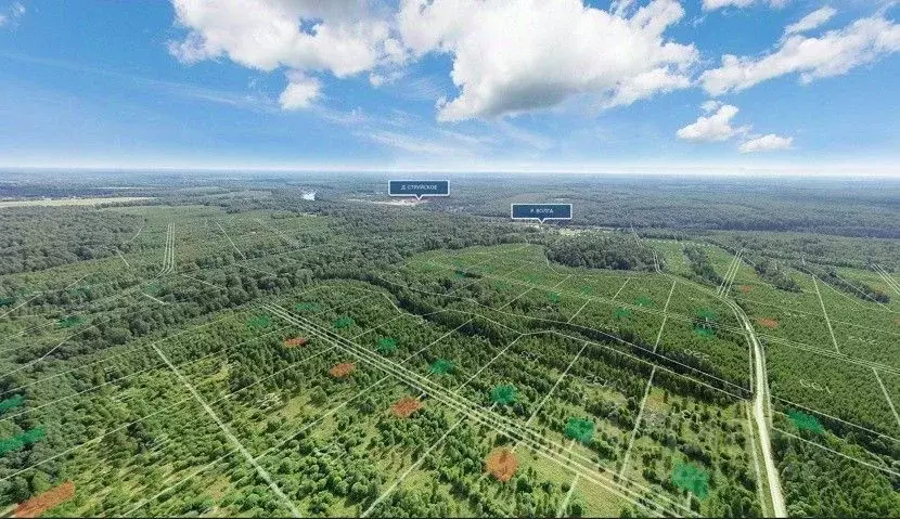 Участок в Тверская область, Ржевский муниципальный округ, д. ... - Фото 1