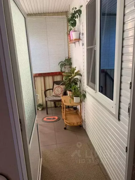 Студия Краснодарский край, Анапа ул. Ленина, 32 (40.0 м) - Фото 1