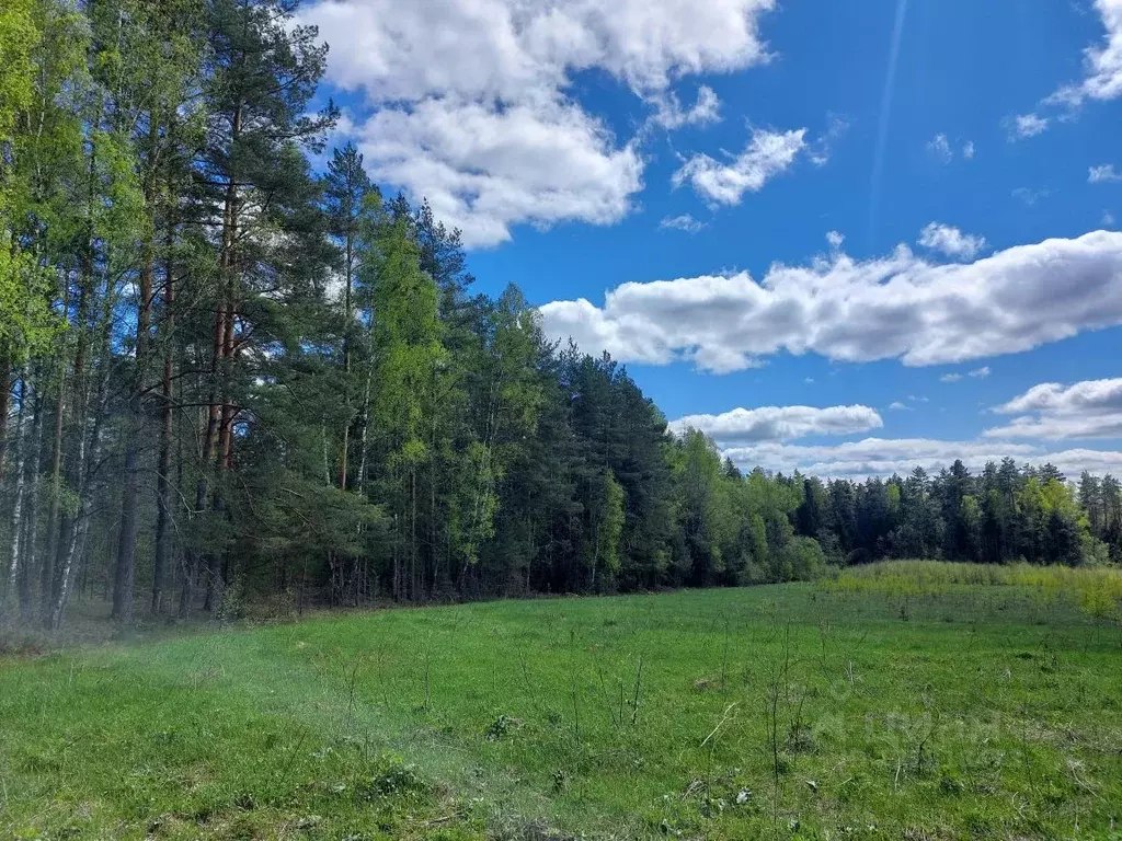 Участок в Смоленская область, Темкинский муниципальный округ, д. ... - Фото 2