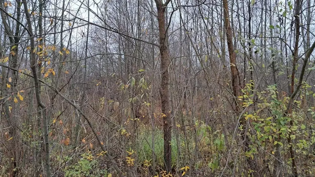 Участок в Московская область, Дубна наб. Дубненская (29.97 сот.) - Фото 1