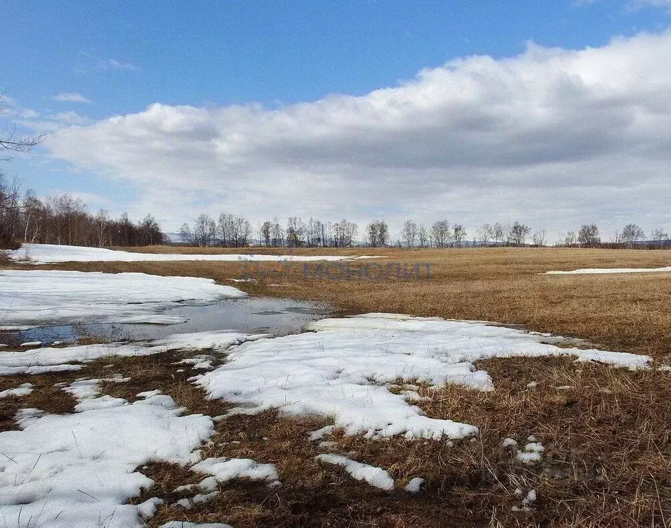 Участок в Нижегородская область, Сергачский муниципальный округ, с. ... - Фото 1