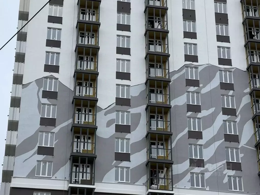 1-к кв. Тамбовская область, Тамбов ул. Агапкина, 2К (29.18 м) - Фото 1