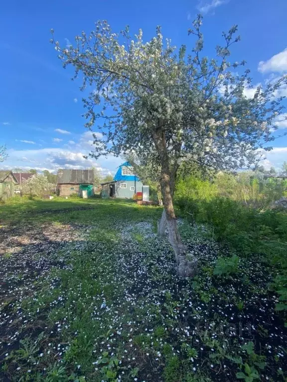 Дом в Башкортостан, Уфа СНО имени Мичурина тер., 183 (49 м) - Фото 1