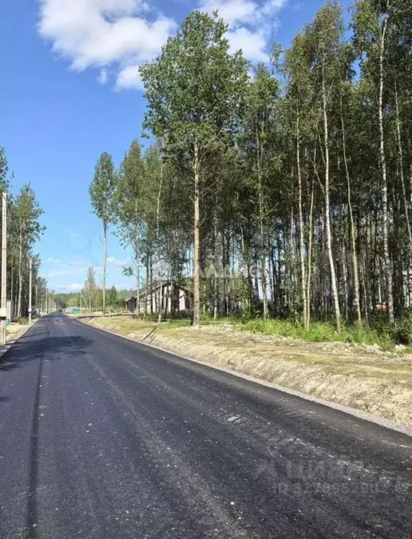 Участок в Санкт-Петербург, Санкт-Петербург, Павловск  (6.16 сот.) - Фото 2