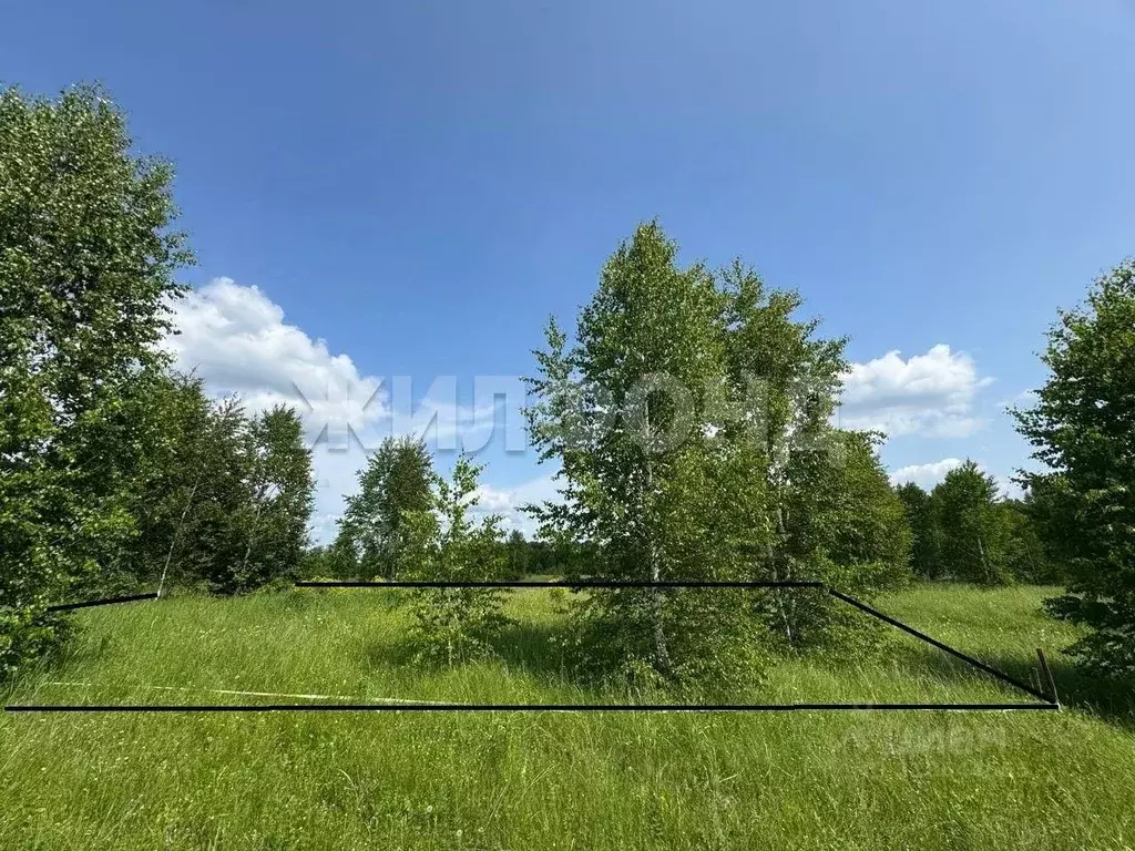Участок в Новосибирская область, Новосибирский район, Каменский ... - Фото 0