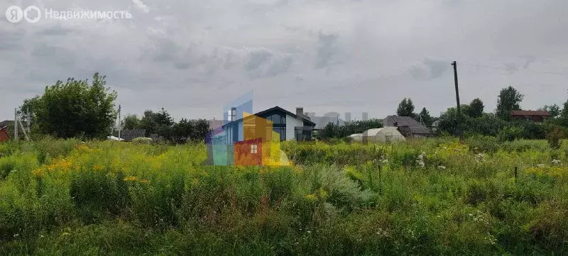 Участок в Тульская область, городской округ Тула, деревня Ямны (11 м) - Фото 2