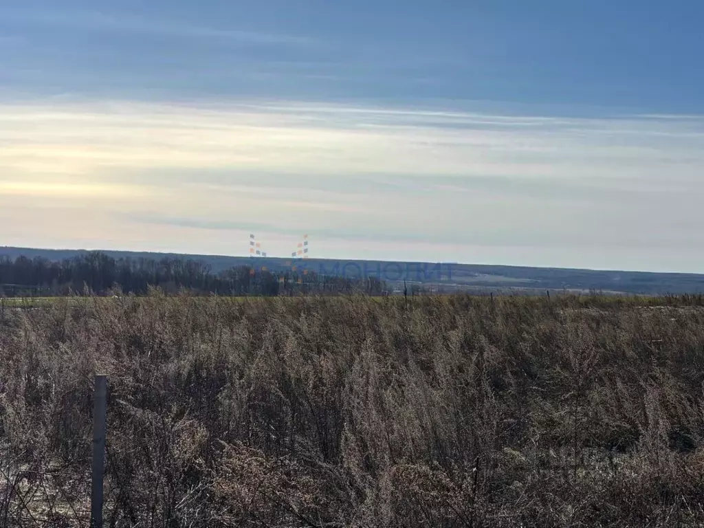 Участок в Нижегородская область, Богородский муниципальный округ, с. ... - Фото 1