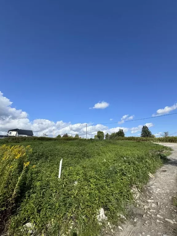 Участок в Калининградская область, Зеленоградский муниципальный округ, ... - Фото 1