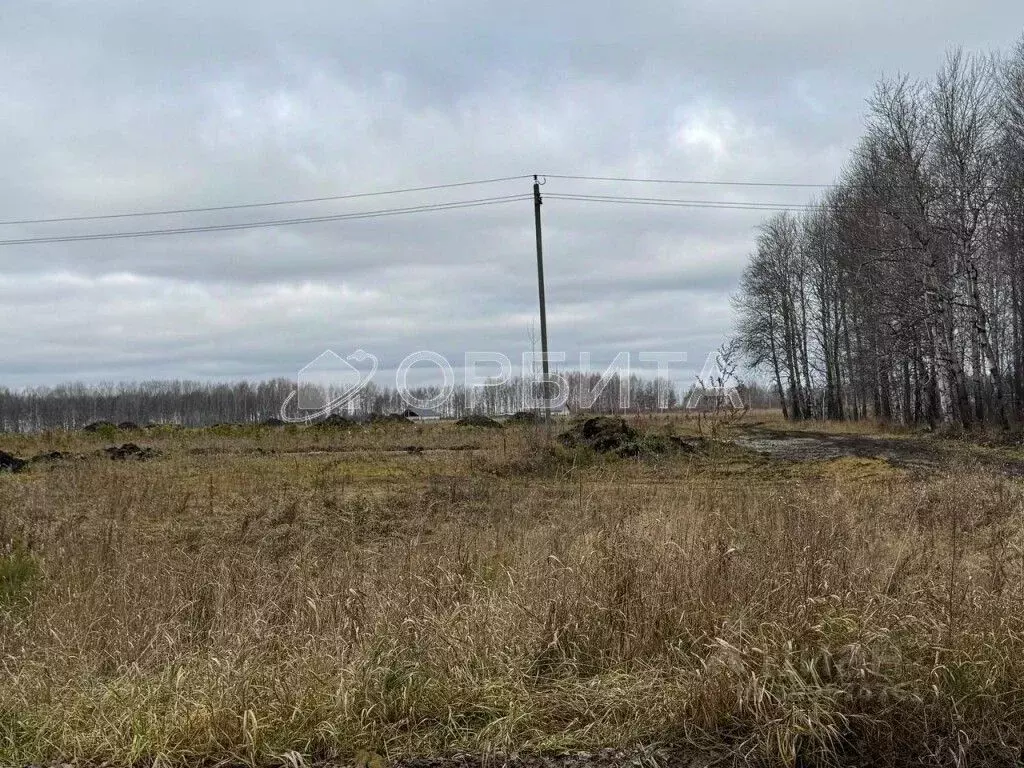 Участок в Тюменская область, Тюмень Мыс мкр, ул. Ушакова (7.0 сот.) - Фото 0