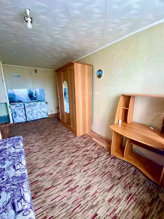 Комната Курганская область, Курган Половинская ул., 8Б (17.0 м) - Фото 1