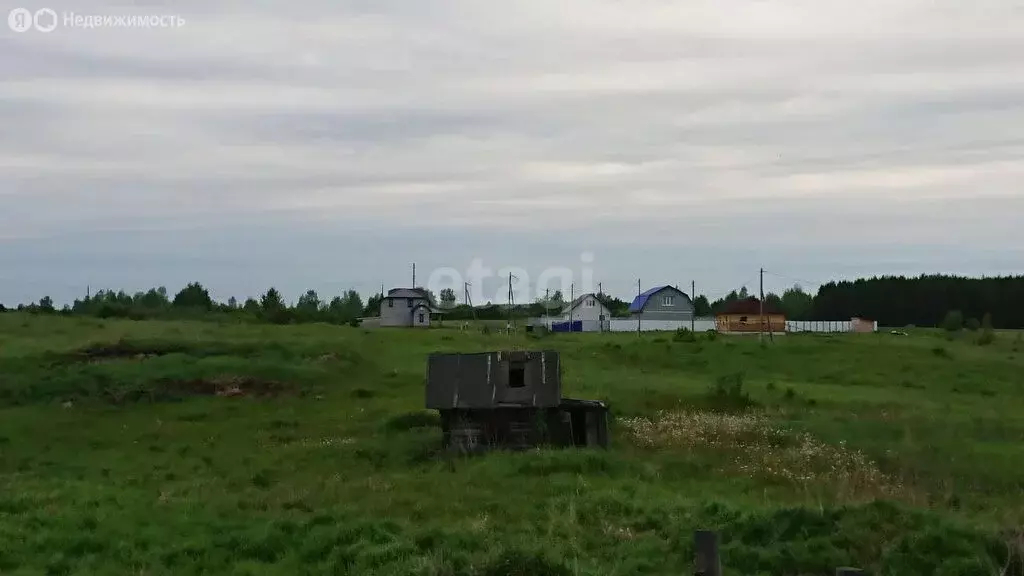 Участок в Камышловский район, Галкинское сельское поселение, село ... - Фото 1