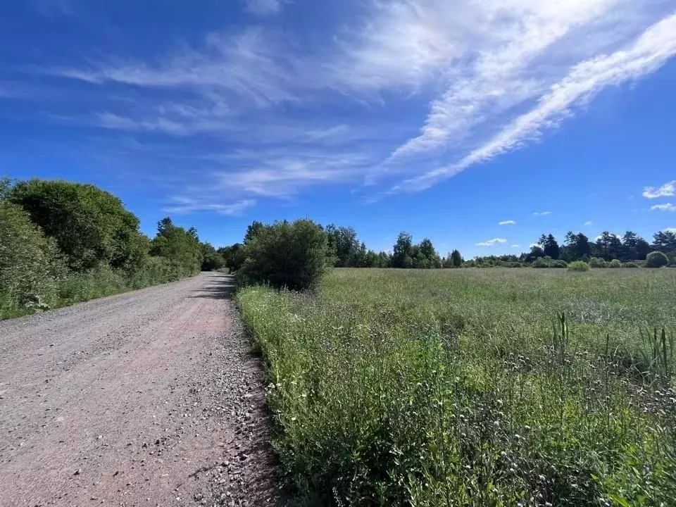 Участок в Ленинградская область, Приозерский район, Ларионовское ... - Фото 1