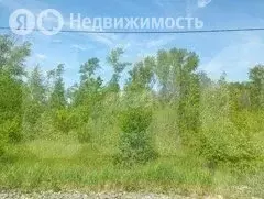Участок в посёлок Плодопитомник, Васильковая улица (6.8 м) - Фото 1