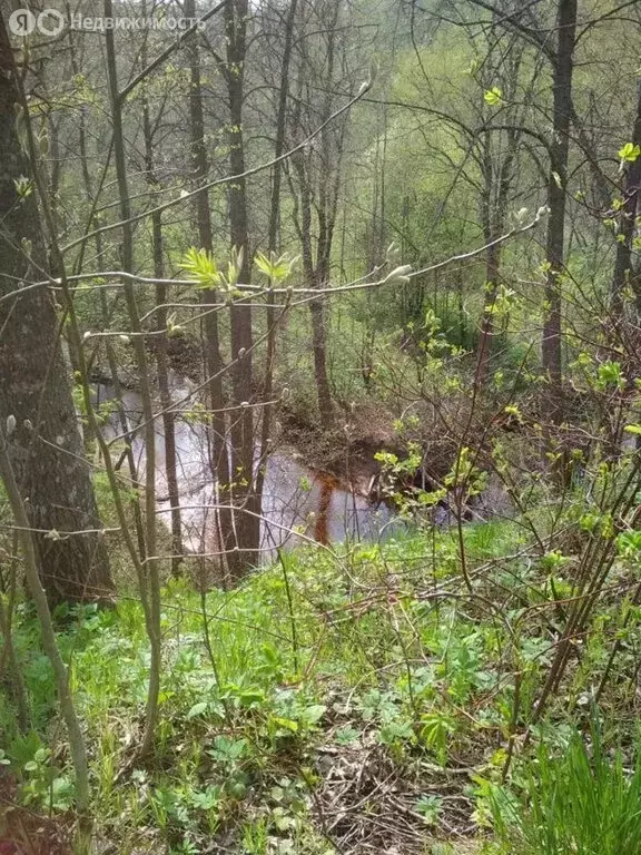 Участок в Толмачёвское городское поселение, деревня Островёнка (10 м) - Фото 1