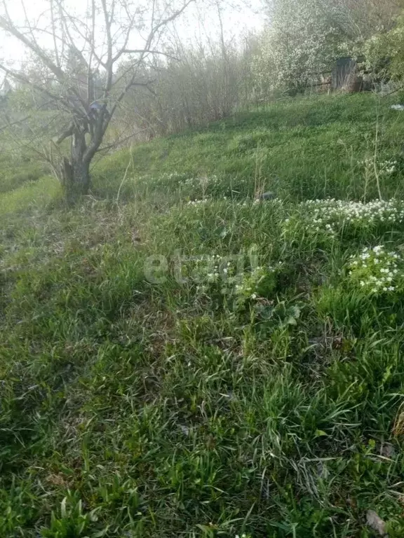 Участок в Алтайский край, Алтайский район, с. Алтайское ул. Восточная ... - Фото 0