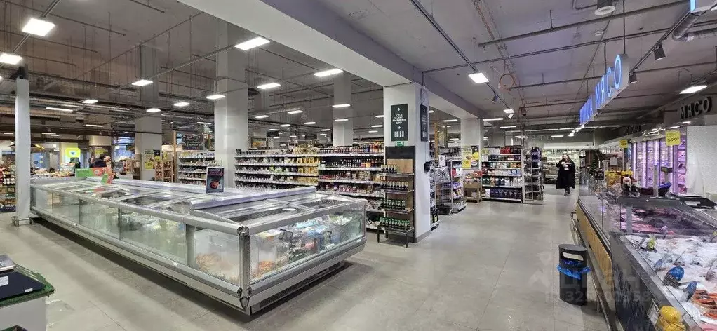 Торговая площадь в Самарская область, Самара ул. Тухачевского, 84 ... - Фото 2