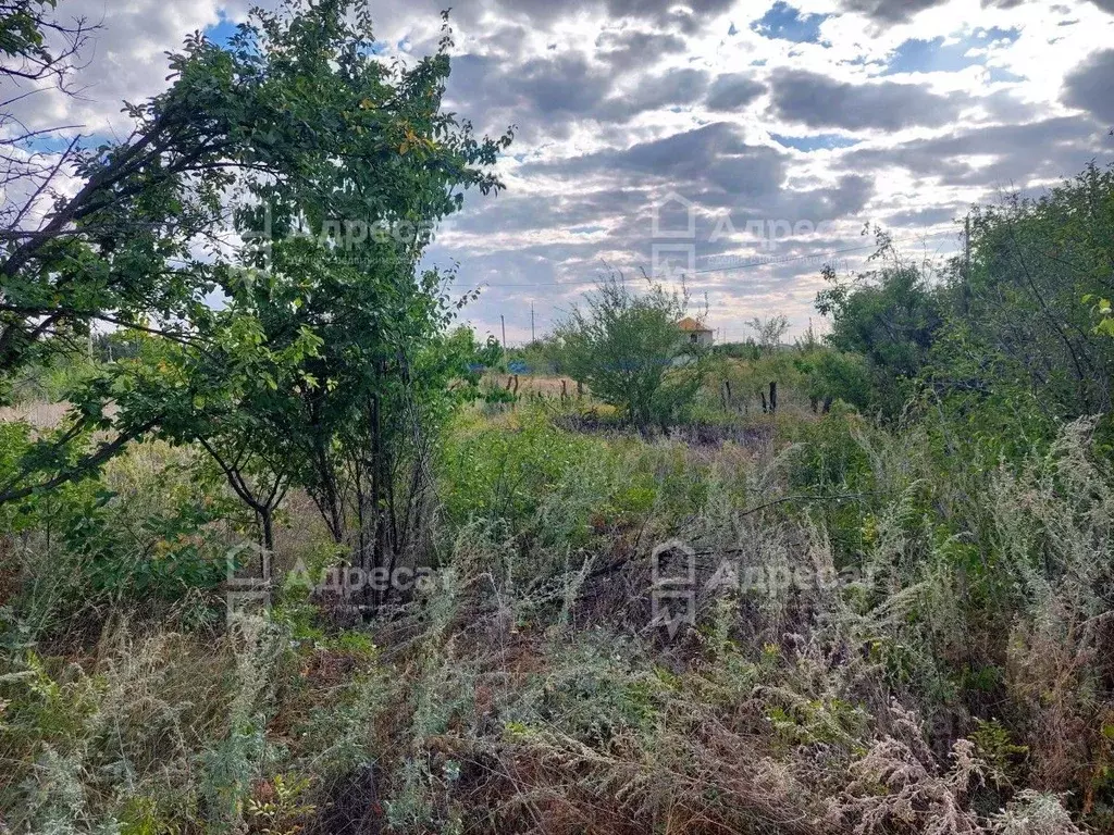 участок в волгоградская область, волгоград горнополянец снт, (6.6 . - Фото 1