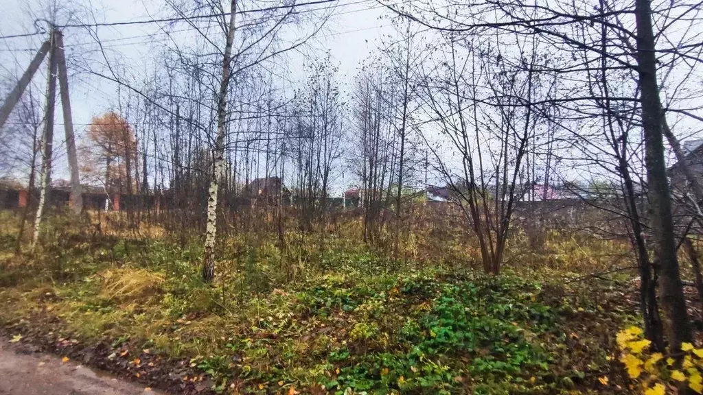 Участок в Московская область, Раменский муниципальный округ, с. ... - Фото 1