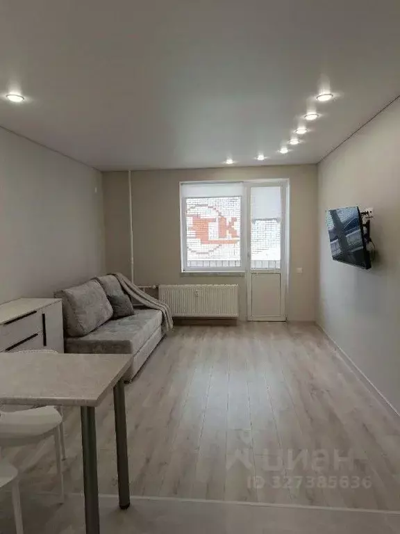 Студия Саратовская область, Саратов ул. Стрельбище, 22 (32.6 м) - Фото 2