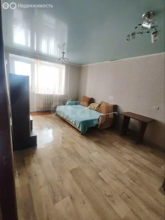 1-комнатная квартира: Михайловск, улица Пушкина, 55/10 (31.2 м) - Фото 1