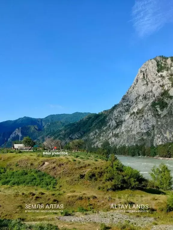 Участок в Алтай, Чемальский район, с. Еланда Катунская ул., 14 (1.31 ... - Фото 2