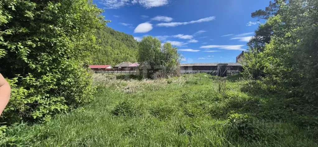Дом в Алтай, Шебалинский район, с. Черга ул. Чапаева, 28 (28 м) - Фото 1