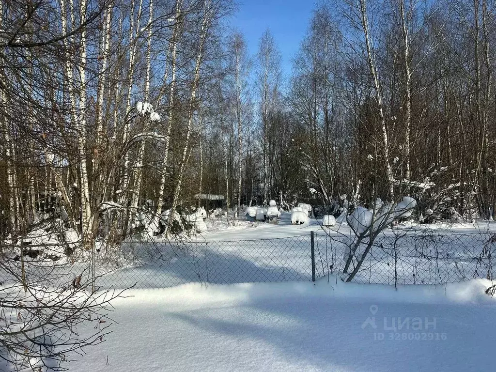 Участок в Московская область, Рузский муниципальный округ, Тучково пгт ... - Фото 1
