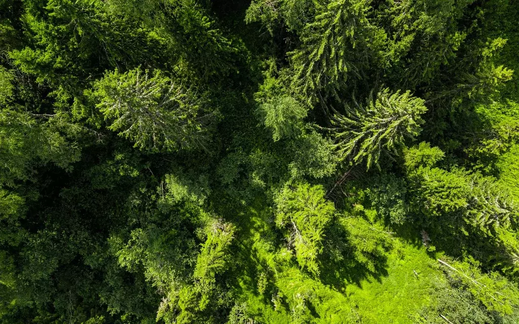 Участок в Московская область, Волоколамский муниципальный округ, ... - Фото 1