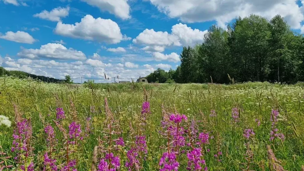 Участок в Ленинградская область, Ломоносовский район, Лопухинское ... - Фото 1