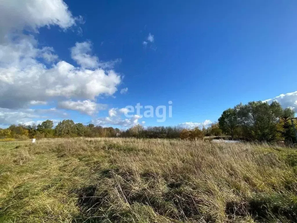 Участок в Калининградская область, Гурьевский муниципальный округ, ... - Фото 1