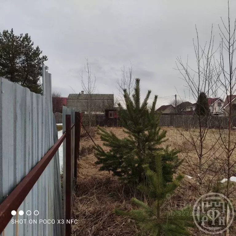 Участок в Ленинградская область, Всеволожский район, Романовское ... - Фото 2