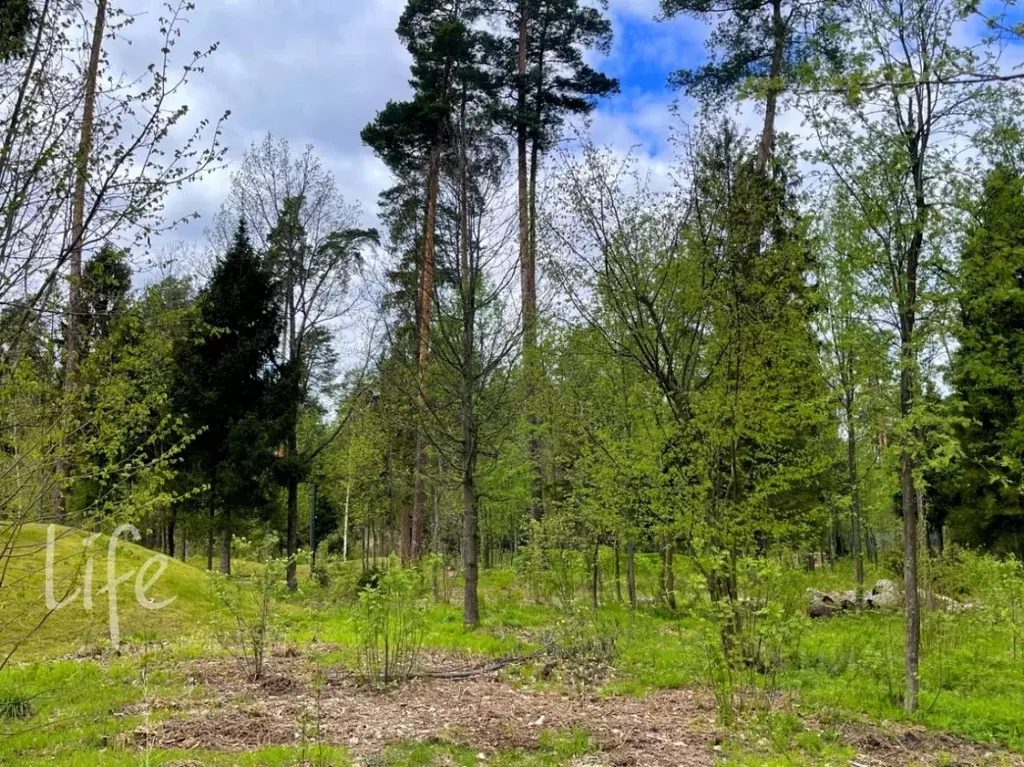 Участок в Московская область, Одинцовский городской округ, пос. ... - Фото 1