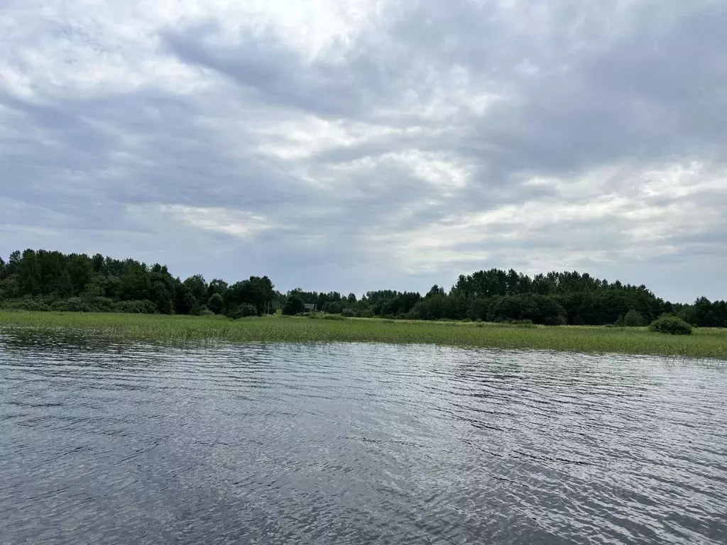 Участок в Тверская область, Осташковский муниципальный округ, д. ... - Фото 2