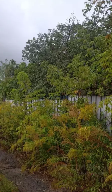 Участок в Нижегородская область, Нижний Новгород Деловая ул. (8.1 ... - Фото 2