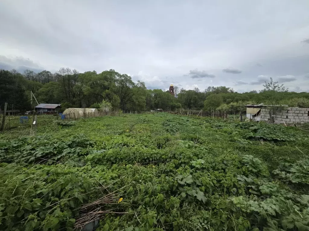 Участок в Московская область, Наро-Фоминский городской округ, д. ... - Фото 2